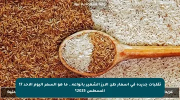 تقلبات جديدة في أسعار طن الأرز الشعير بأنواعه.. ما هو السعر اليوم الأحد 17 أغسطس 2025؟
